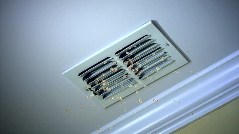 Air Duct Mold Removal in OH