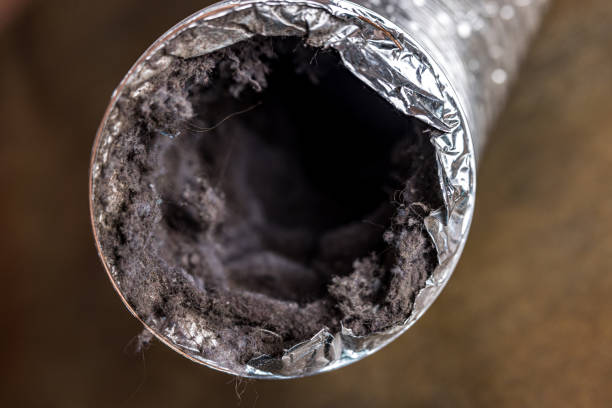Best Air Duct Mold Removal  in New Knoxville, OH